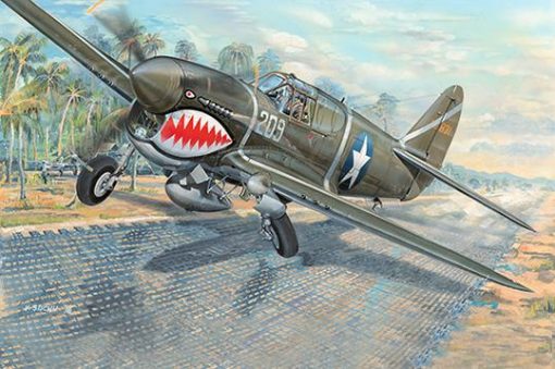 TRUMPETER 03227 1/32 P-40F WARHAWK *AUS DECAL* PLASTIC MODEL KIT